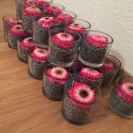 28 pots en verre (10 cm de diamètre) avec gravier et pipette à fleur